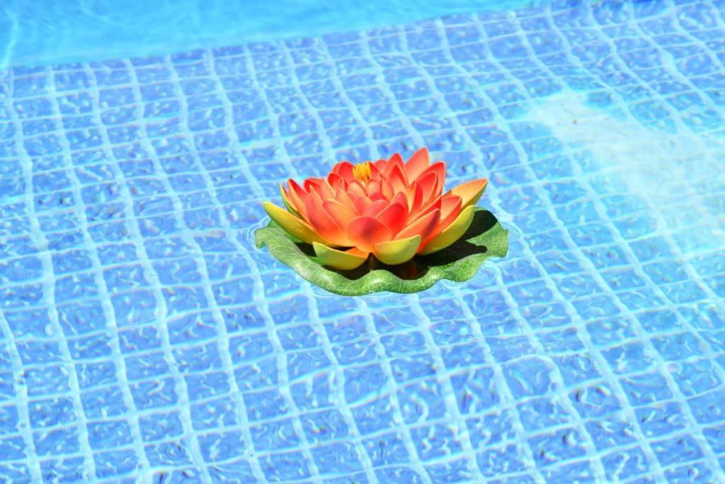 Guestready - Sonho Dos Avos II Daire Câmara de Lobos Dış mekan fotoğraf